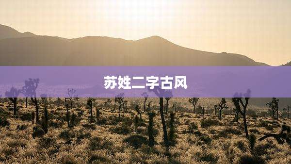 苏姓二字古风