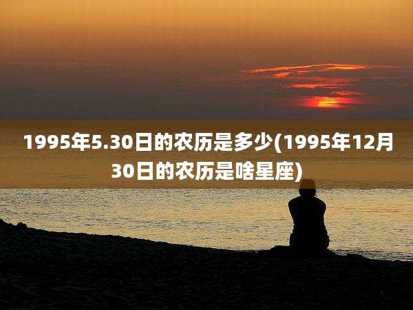 1995年5.30日的农历是多少(1995年12月30日的农历是啥星座)