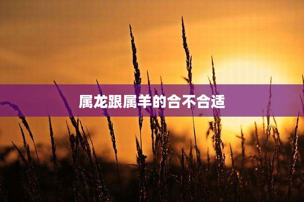 属龙跟属羊的合不合适