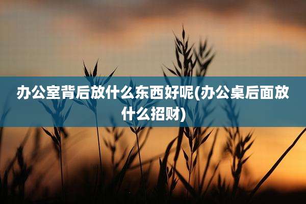 办公室背后放什么东西好呢(办公桌后面放什么招财)