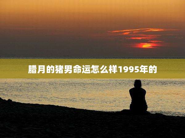 腊月的猪男命运怎么样1995年的