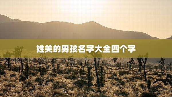 姓关的男孩名字大全四个字