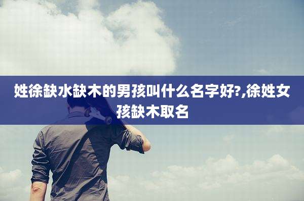 姓徐缺水缺木的男孩叫什么名字好?,徐姓女孩缺木取名