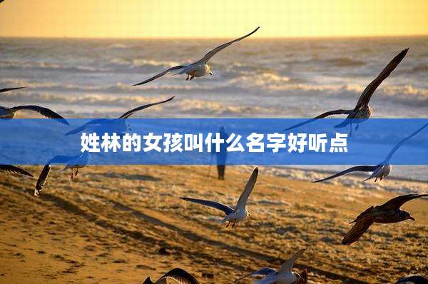 姓林的女孩叫什么名字好听点