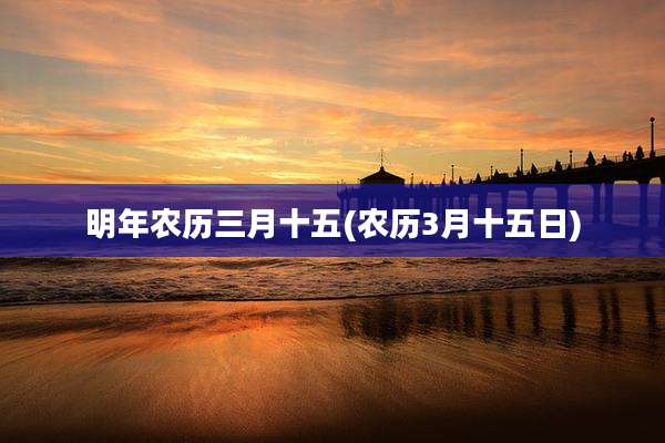 明年农历三月十五(农历3月十五日)