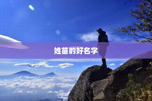 姓苗的好名字