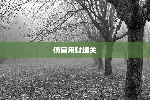 伤官用财通关