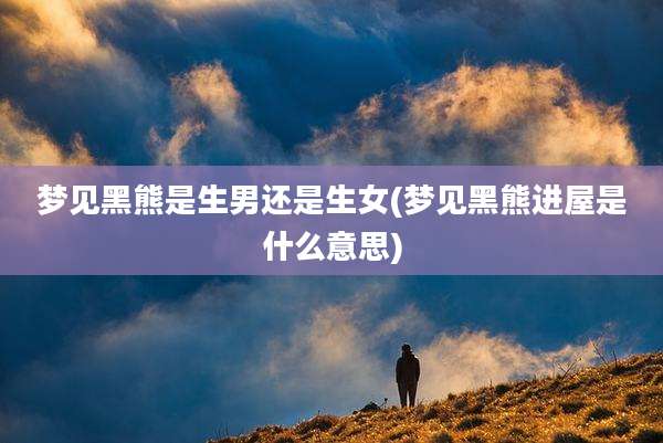梦见黑熊是生男还是生女(梦见黑熊进屋是什么意思)