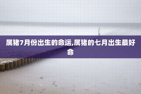 属猪7月份出生的命运,属猪的七月出生最好命