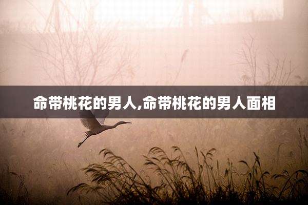 命带桃花的男人,命带桃花的男人面相