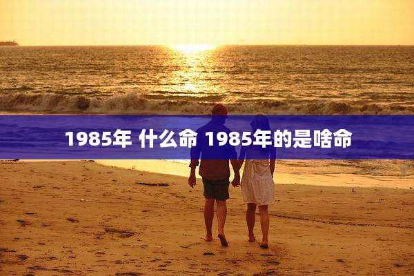 1985年 什么命 1985年的是啥命
