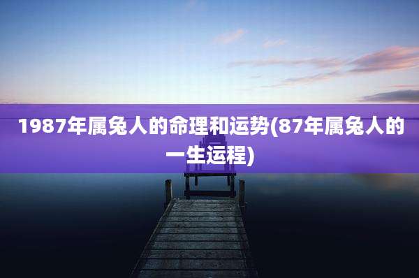 1987年属兔人的命理和运势(87年属兔人的一生运程)