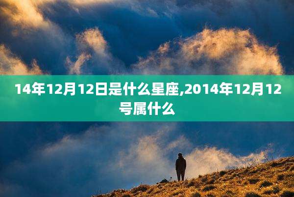14年12月12日是什么星座,2014年12月12号属什么