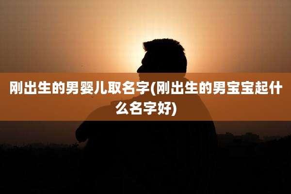 刚出生的男婴儿取名字(刚出生的男宝宝起什么名字好)
