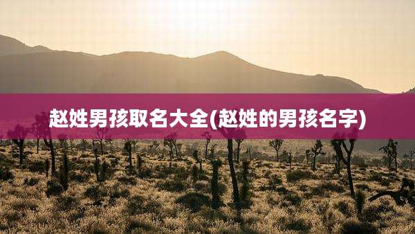 赵姓男孩取名大全(赵姓的男孩名字)