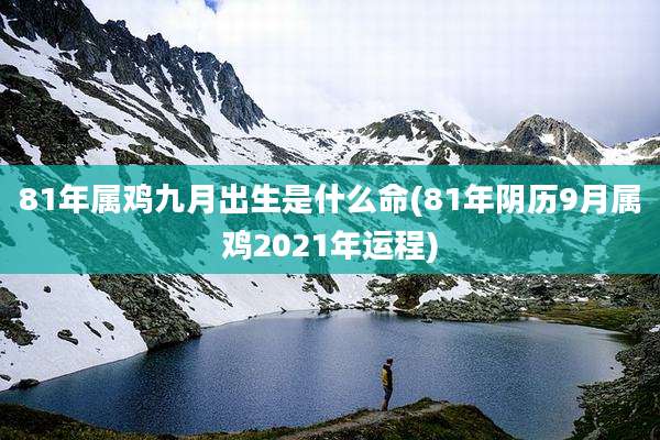 81年属鸡九月出生是什么命(81年阴历9月属鸡2021年运程)