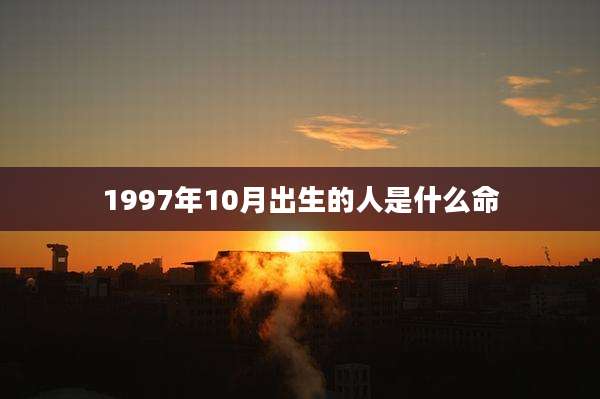 1997年10月出生的人是什么命