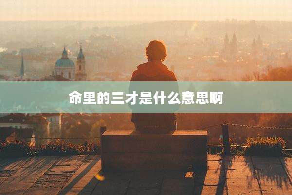 命里的三才是什么意思啊