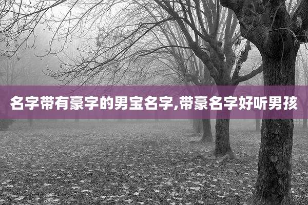 名字带有豪字的男宝名字,带豪名字好听男孩