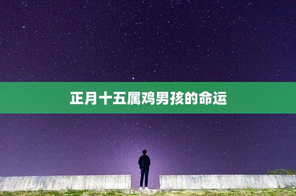 正月十五属鸡男孩的命运