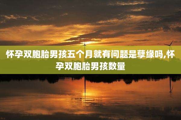 怀孕双胞胎男孩五个月就有问题是孽缘吗,怀孕双胞胎男孩数量