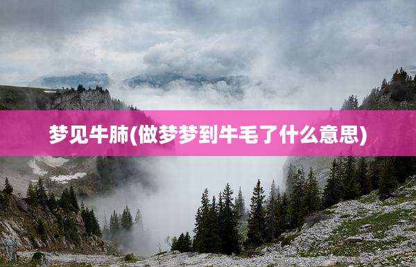 梦见牛肺(做梦梦到牛毛了什么意思)
