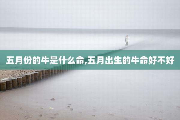 五月份的牛是什么命,五月出生的牛命好不好