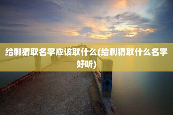 给刺猬取名字应该取什么(给刺猬取什么名字好听)