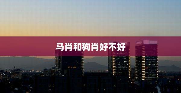 马肖和狗肖好不好