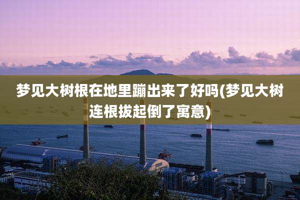 梦见大树根在地里蹦出来了好吗(梦见大树连根拔起倒了寓意)