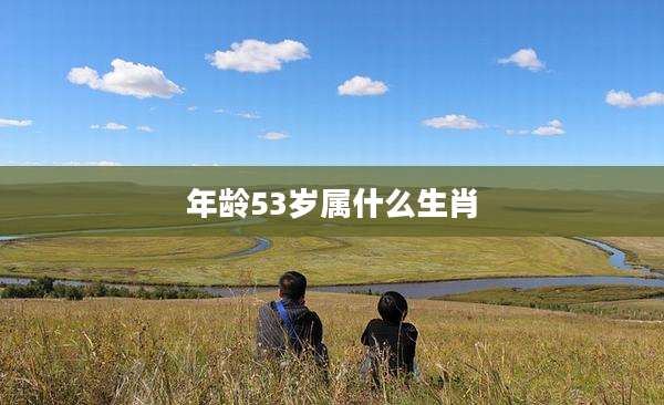 年龄53岁属什么生肖