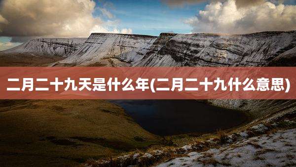 二月二十九天是什么年(二月二十九什么意思)