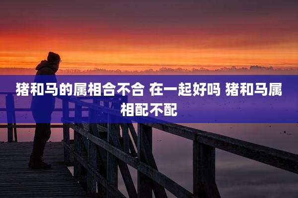 猪和马的属相合不合 在一起好吗 猪和马属相配不配