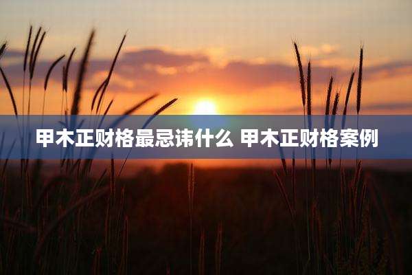 甲木正财格最忌讳什么 甲木正财格案例