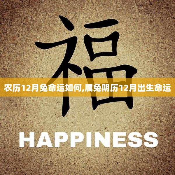 农历12月兔命运如何,属兔阴历12月出生命运