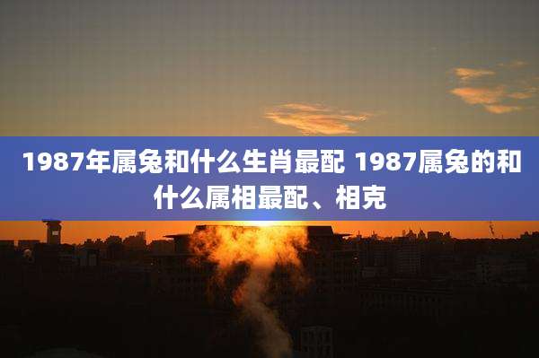 1987年属兔和什么生肖最配 1987属兔的和什么属相最配、相克