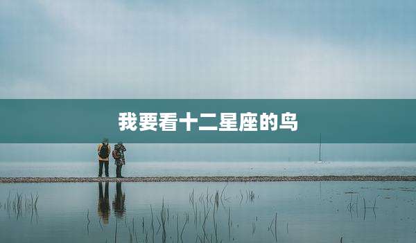 我要看十二星座的鸟