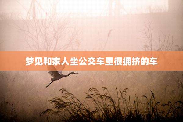 梦见和家人坐公交车里很拥挤的车