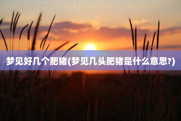 梦见好几个肥猪(梦见几头肥猪是什么意思?)