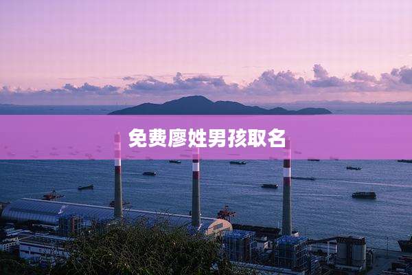 免费廖姓男孩取名