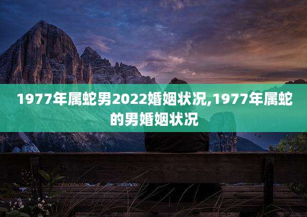 1977年属蛇男2022婚姻状况,1977年属蛇的男婚姻状况