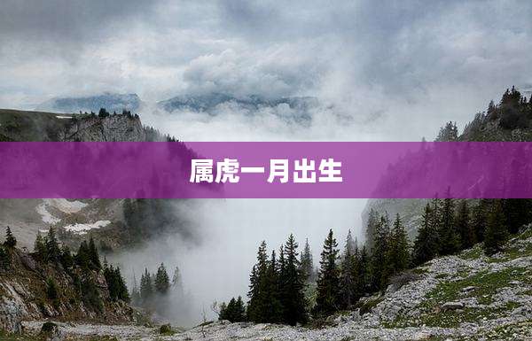 属虎一月出生