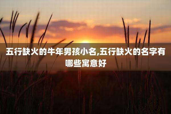 五行缺火的牛年男孩小名,五行缺火的名字有哪些寓意好