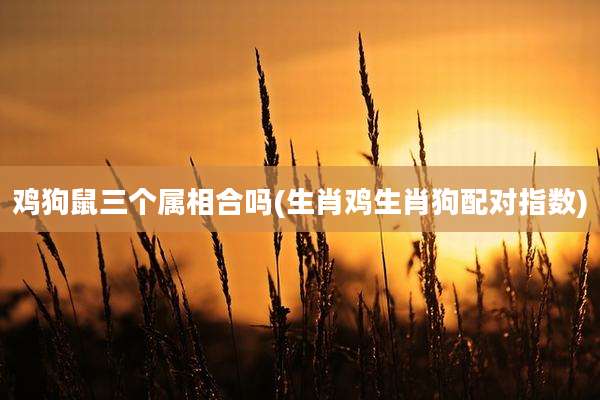鸡狗鼠三个属相合吗(生肖鸡生肖狗配对指数)