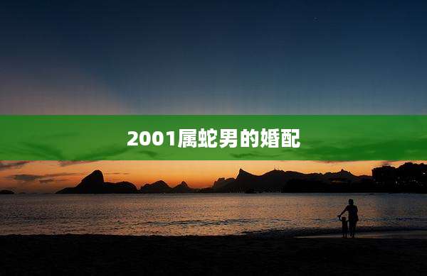 2001属蛇男的婚配