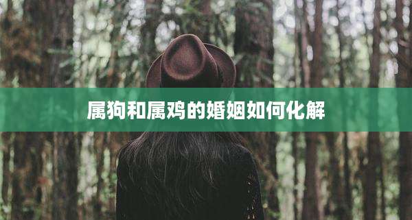 属狗和属鸡的婚姻如何化解
