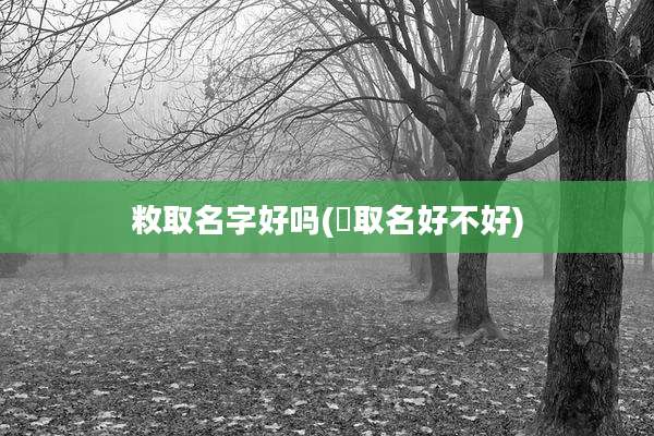 敉取名字好吗(芠取名好不好)
