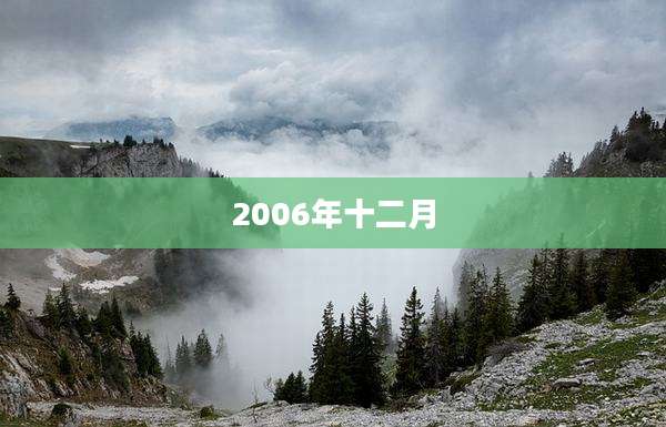 2006年十二月