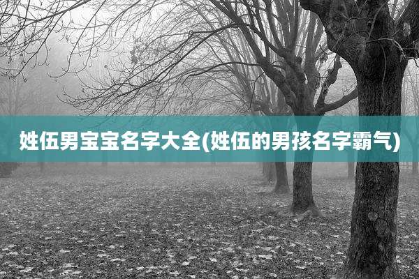 姓伍男宝宝名字大全(姓伍的男孩名字霸气)