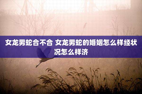 女龙男蛇合不合 女龙男蛇的婚姻怎么样经状况怎么样济